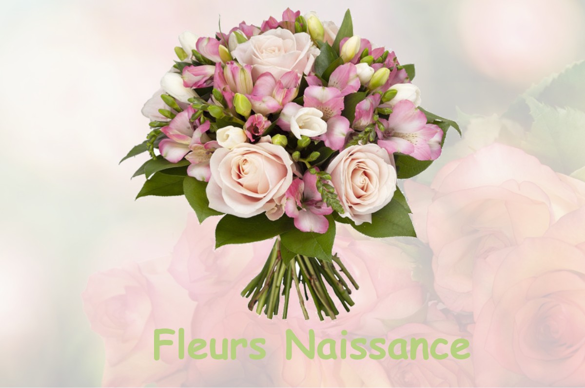 fleurs naissance ONDRES