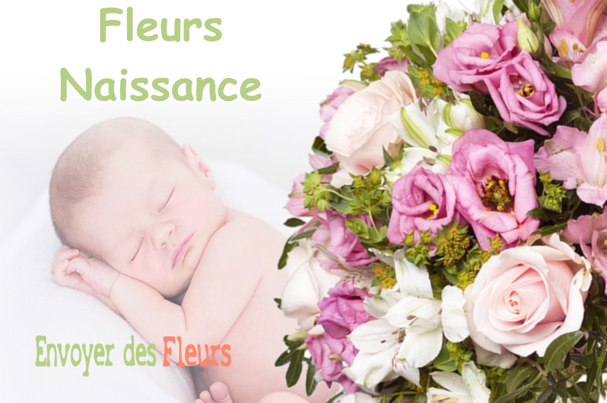 lIVRAISON FLEURS NAISSANCE à ONDRES